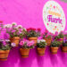 Beekenkamp Plants Introduces Verbena Fuerte, A Serie Full Of Passion, Inspiration And Vibrant Colors.