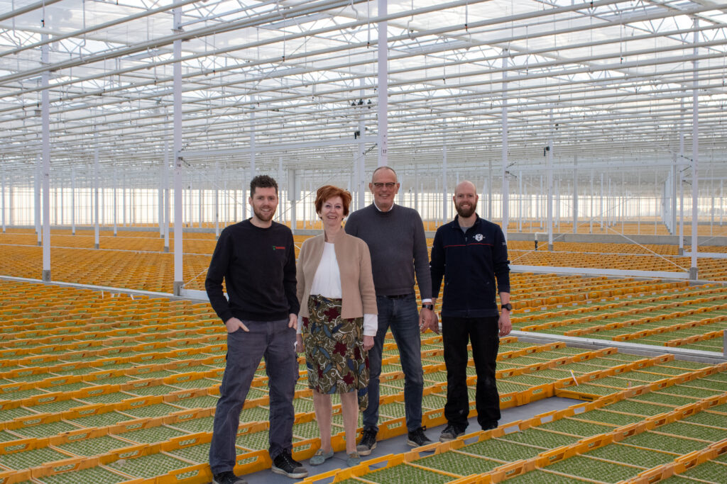 Het nieuwbouwproject aan de Korte Kruisweg in Maasdijk van Beekenkamp Plants is succesvol afgerond. In een halfjaar is de gloednieuwe kas van 4 hectare voor de opkweek van vollegrondsgroenten gerealiseerd.