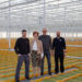 Beekenkamp Plants inaugurates new greenhouse for open-field vegetable cultivation